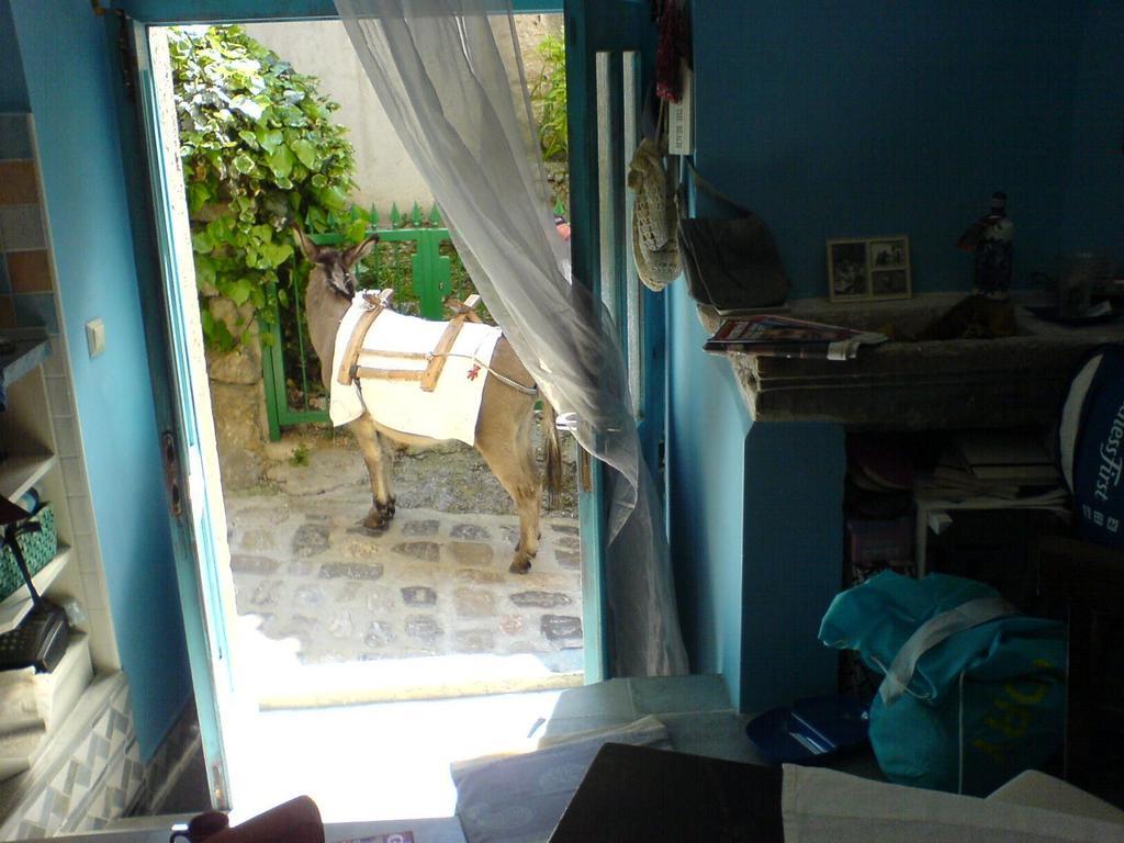 Blue Bench Krk Apartment Krk Town Bilik gambar